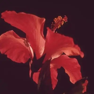 Tech Care Co-operative